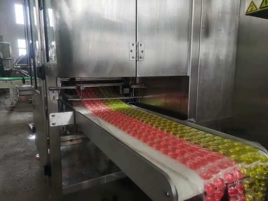 PLC-gesteuerte elektrische Waschmaschine für die individuelle Produktion